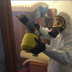 Уничтожение клопов в квартире. Смоленская